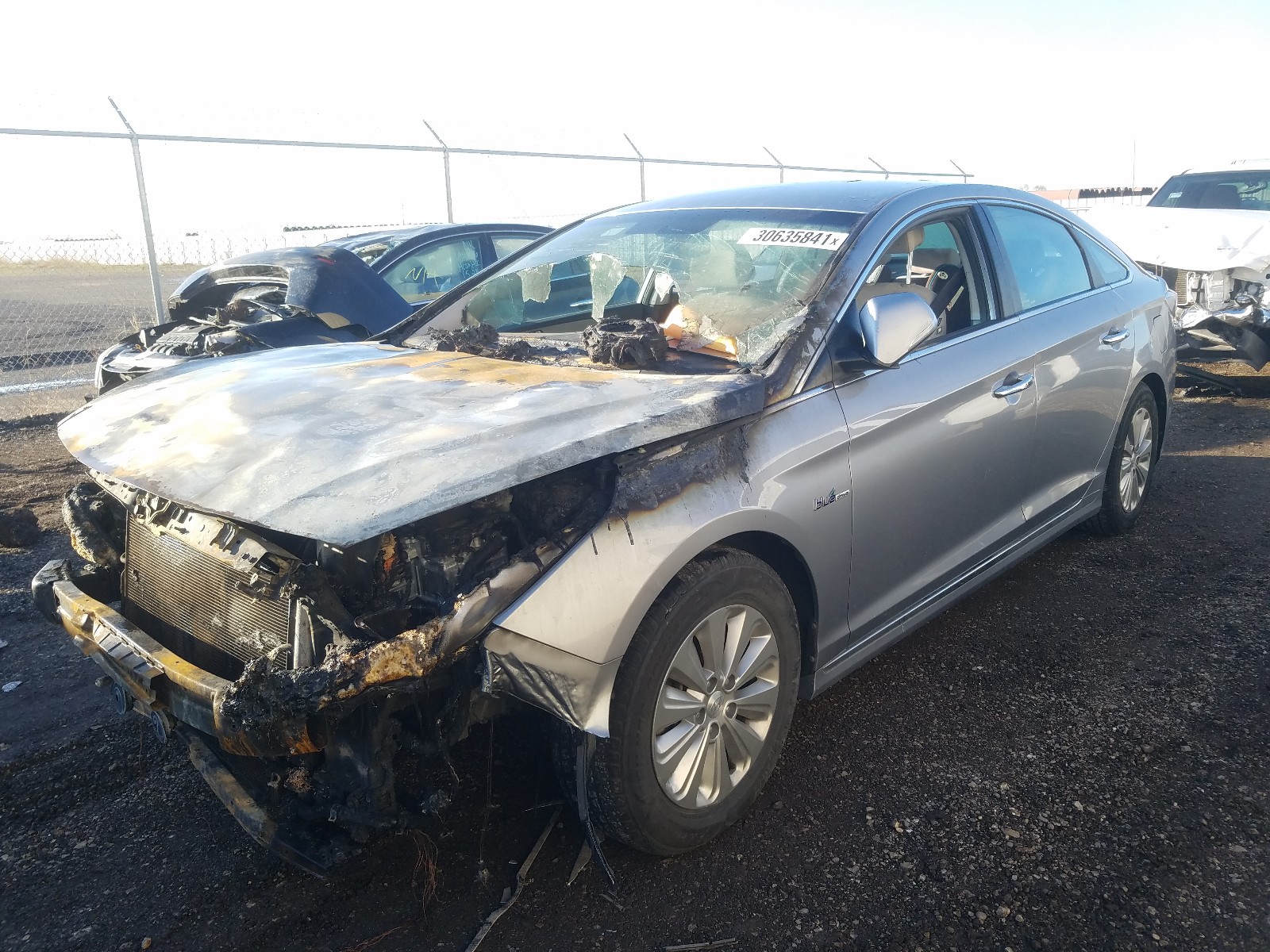 Photo 1 VIN: KMHE24L12GA013845 - HYUNDAI SONATA HYB 