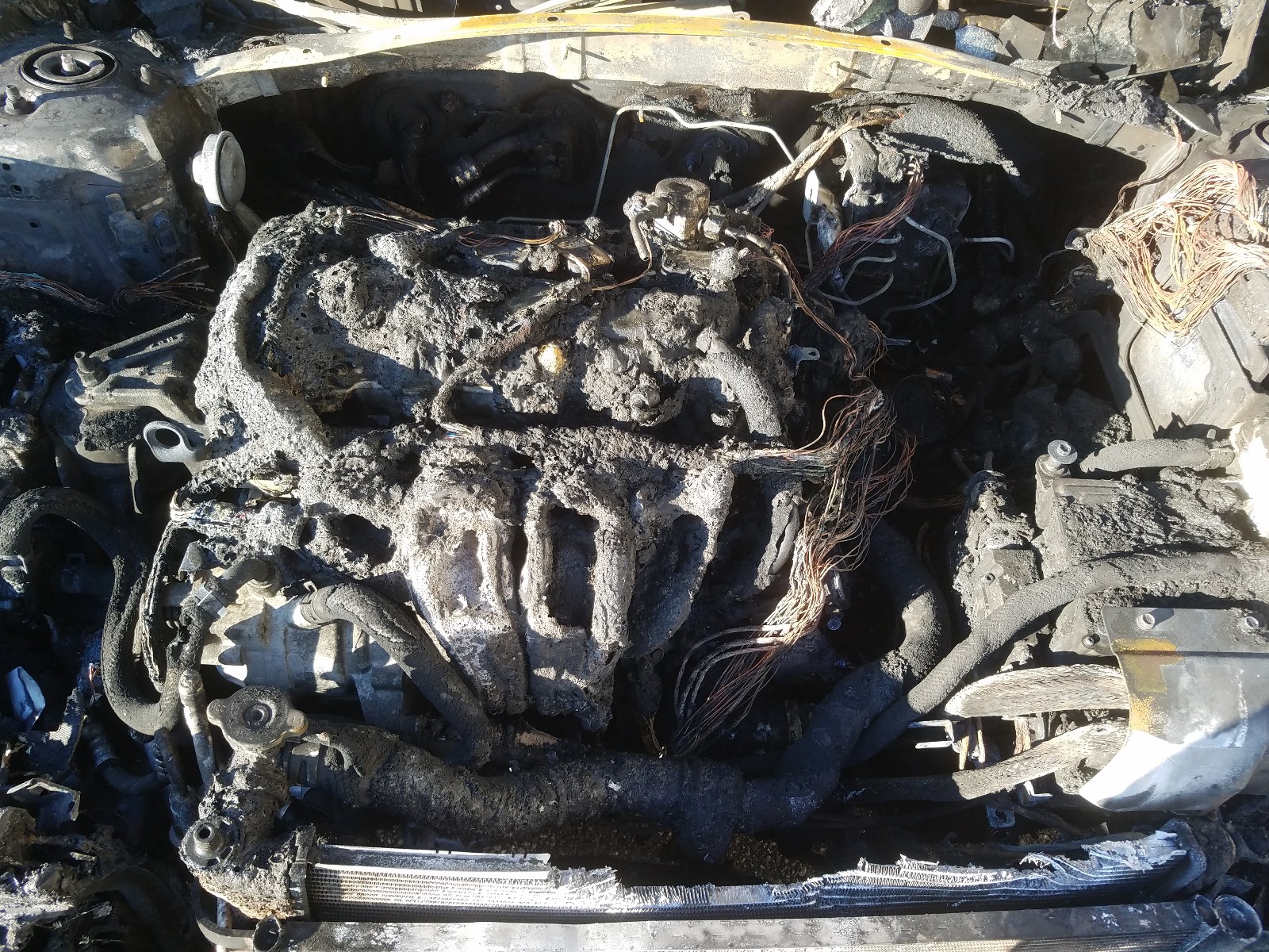 Photo 6 VIN: KMHE24L12GA013845 - HYUNDAI SONATA HYB 