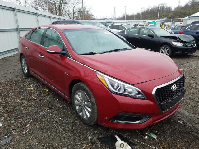 Photo 0 VIN: KMHE24L12GA016258 - HYUNDAI SONATA HYB 