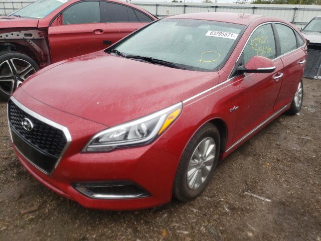 Photo 1 VIN: KMHE24L12GA016583 - HYUNDAI SONATA HYB 