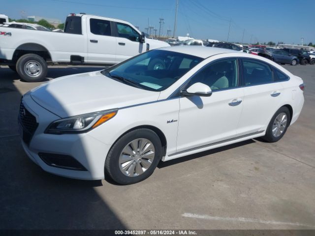 Photo 1 VIN: KMHE24L12GA037806 - HYUNDAI SONATA HYBRID 