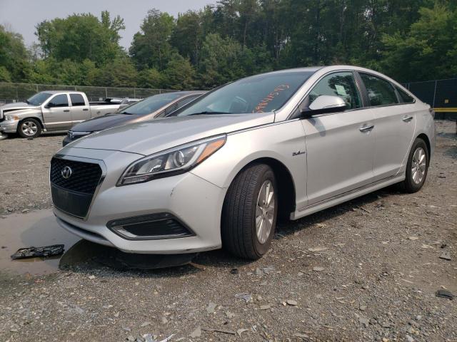 Photo 0 VIN: KMHE24L12GA042018 - HYUNDAI SONATA HYB 