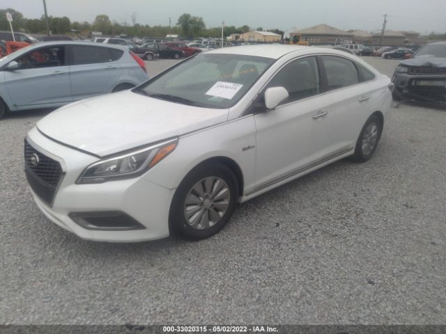 Photo 1 VIN: KMHE24L12HA045907 - HYUNDAI SONATA HYBRID 