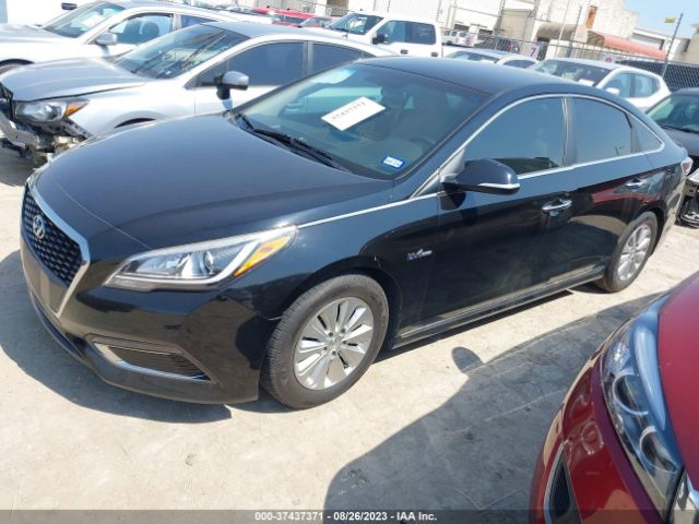 Photo 1 VIN: KMHE24L13GA013711 - HYUNDAI SONATA HYBRID 