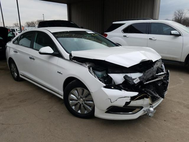 Photo 0 VIN: KMHE24L13GA024708 - HYUNDAI SONATA HYB 