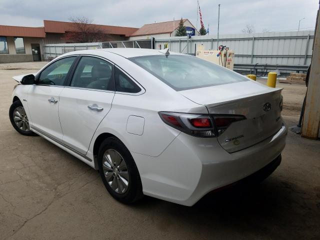 Photo 2 VIN: KMHE24L13GA024708 - HYUNDAI SONATA HYB 