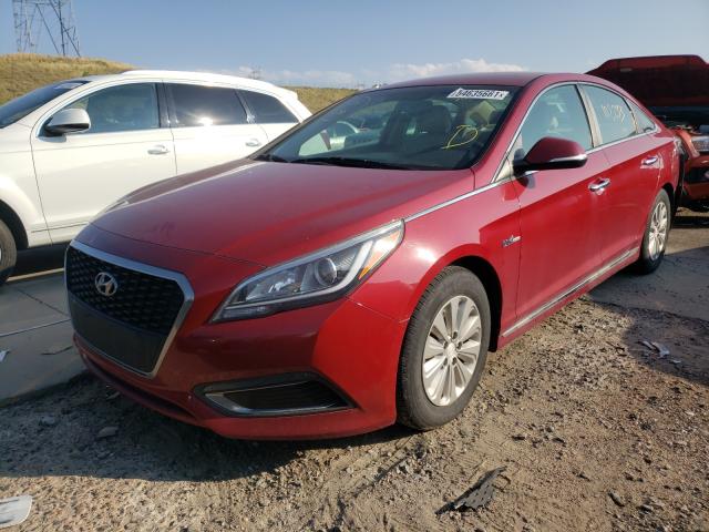 Photo 1 VIN: KMHE24L14GA009151 - HYUNDAI SONATA HYB 