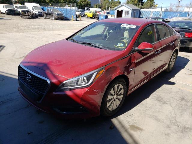 Photo 1 VIN: KMHE24L14GA011496 - HYUNDAI SONATA HYB 