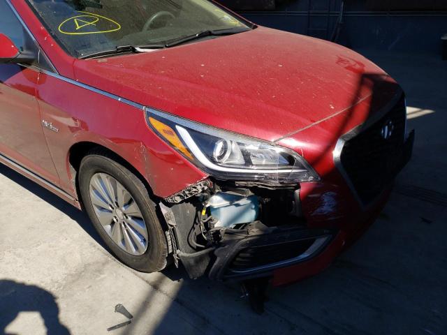 Photo 8 VIN: KMHE24L14GA011496 - HYUNDAI SONATA HYB 