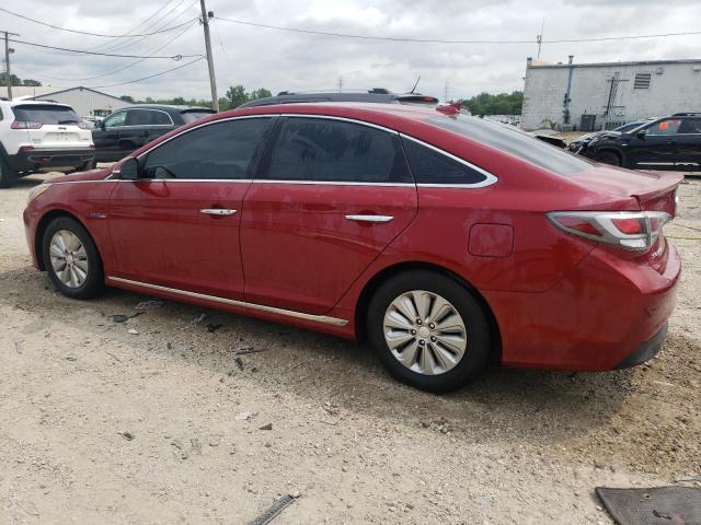 Photo 1 VIN: KMHE24L14GA024846 - HYUNDAI SONATA HYB 