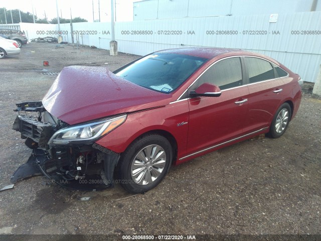 Photo 1 VIN: KMHE24L14GA028038 - HYUNDAI SONATA HYBRID 