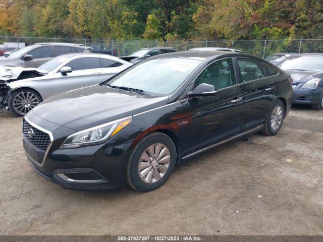 Photo 1 VIN: KMHE24L14HA051644 - HYUNDAI SONATA HYBRID 