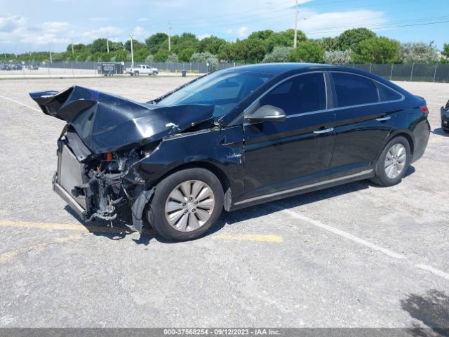 Photo 1 VIN: KMHE24L15GA012320 - HYUNDAI SONATA HYBRID 