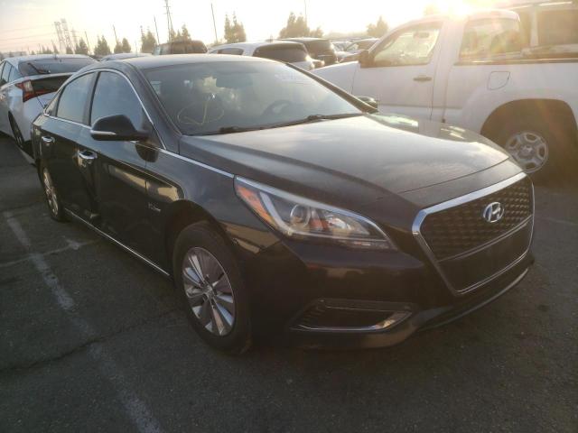 Photo 0 VIN: KMHE24L15GA025603 - HYUNDAI SONATA HYB 