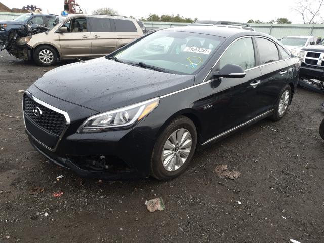 Photo 1 VIN: KMHE24L16GA016036 - HYUNDAI SONATA 