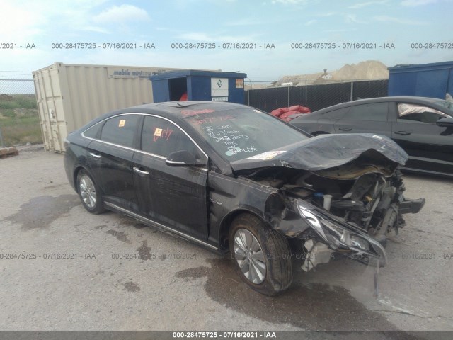 Photo 0 VIN: KMHE24L16GA029532 - HYUNDAI SONATA HYBRID 