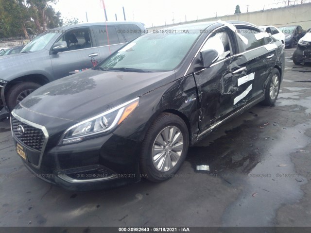 Photo 1 VIN: KMHE24L16GA029613 - HYUNDAI SONATA HYBRID 