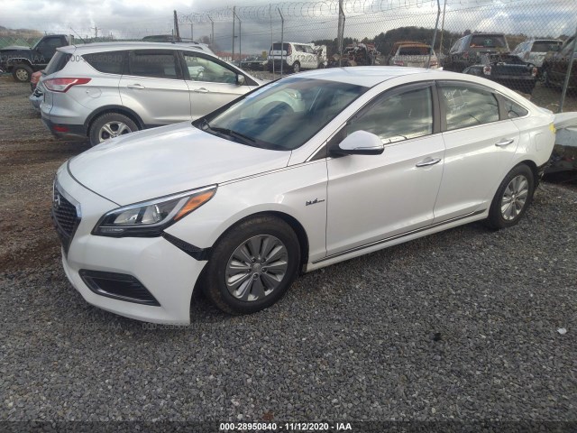 Photo 1 VIN: KMHE24L16GA033273 - HYUNDAI SONATA HYBRID 