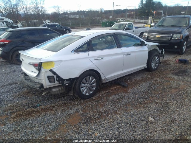 Photo 3 VIN: KMHE24L16GA033273 - HYUNDAI SONATA HYBRID 