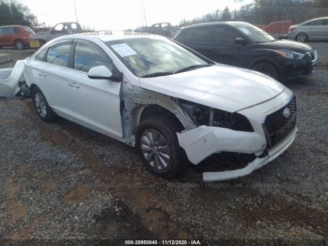 Photo 5 VIN: KMHE24L16GA033273 - HYUNDAI SONATA HYBRID 