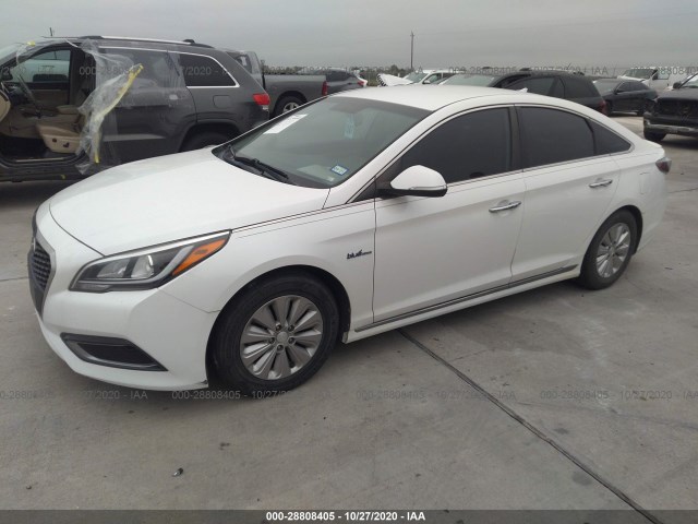 Photo 1 VIN: KMHE24L17GA009242 - HYUNDAI SONATA HYBRID 