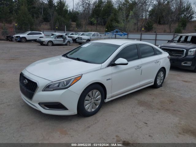 Photo 1 VIN: KMHE24L17GA013694 - HYUNDAI SONATA HYBRID 