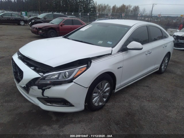 Photo 1 VIN: KMHE24L17GA022539 - HYUNDAI SONATA HYBRID 