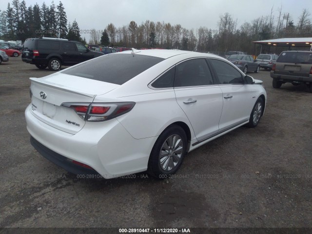 Photo 3 VIN: KMHE24L17GA022539 - HYUNDAI SONATA HYBRID 