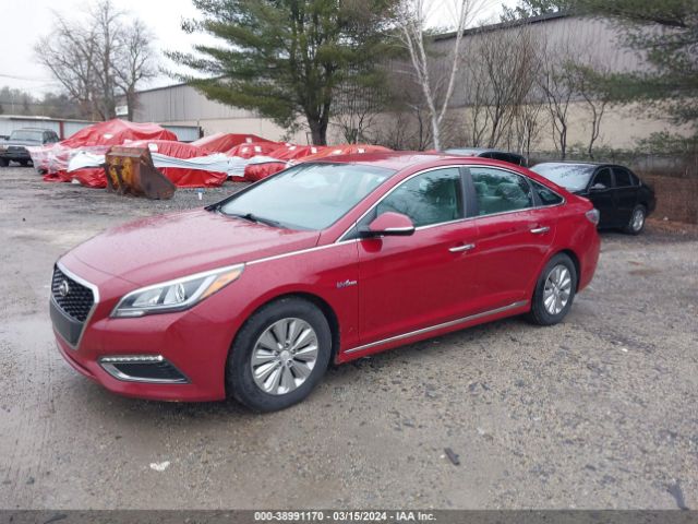 Photo 1 VIN: KMHE24L17GA026087 - HYUNDAI SONATA HYBRID 