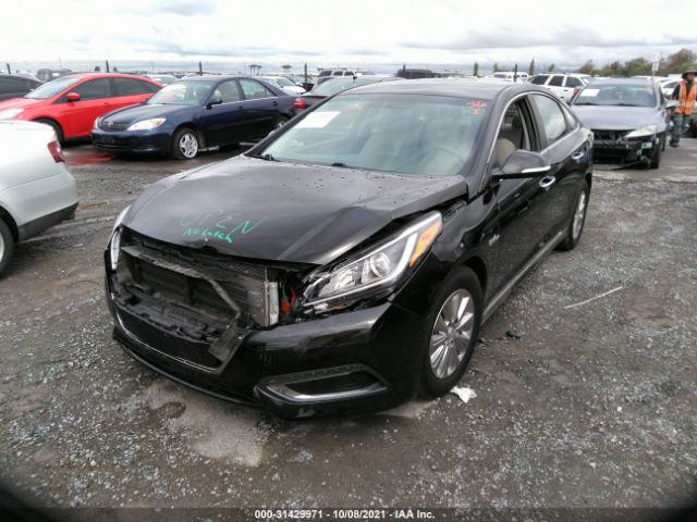 Photo 1 VIN: KMHE24L18GA027796 - HYUNDAI SONATA HYBRID 