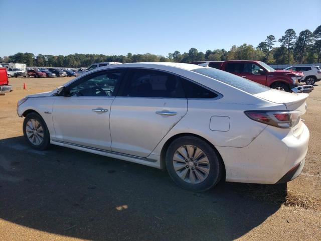 Photo 1 VIN: KMHE24L18GA027975 - HYUNDAI SONATA HYB 