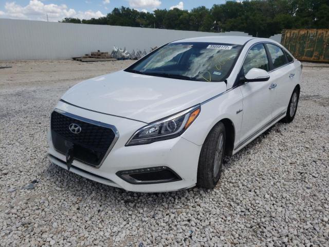 Photo 1 VIN: KMHE24L18GA033064 - HYUNDAI SONATA HYB 