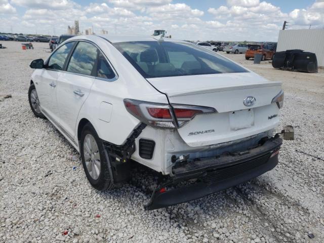 Photo 2 VIN: KMHE24L18GA033064 - HYUNDAI SONATA HYB 