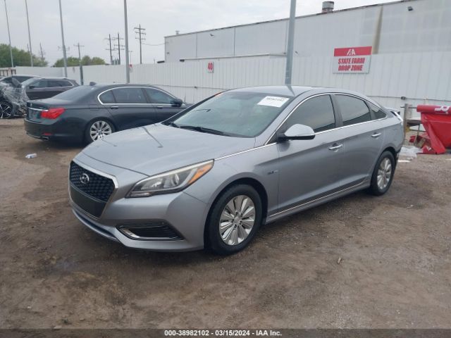 Photo 1 VIN: KMHE24L19GA009839 - HYUNDAI SONATA HYBRID 