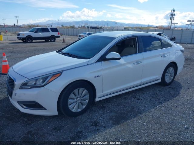 Photo 1 VIN: KMHE24L19GA011834 - HYUNDAI SONATA HYBRID 