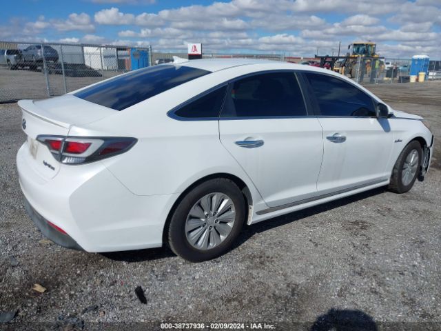 Photo 3 VIN: KMHE24L19GA011834 - HYUNDAI SONATA HYBRID 