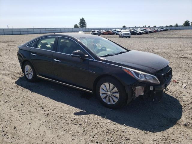 Photo 3 VIN: KMHE24L19GA014832 - HYUNDAI SONATA HYB 