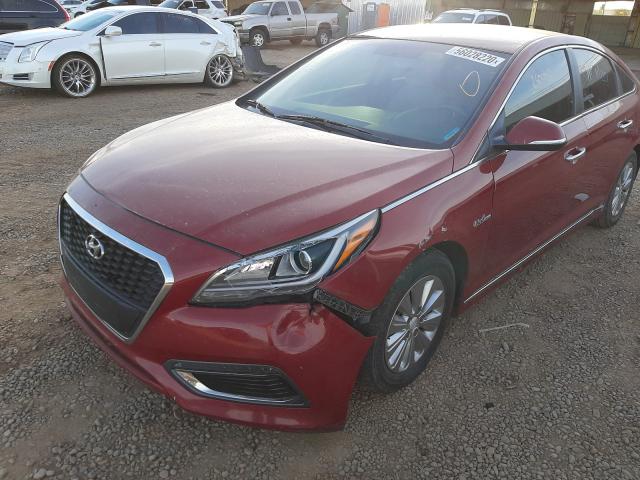 Photo 8 VIN: KMHE24L19GA030223 - HYUNDAI SONATA HYB 