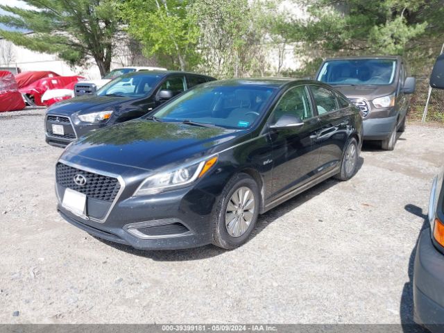 Photo 1 VIN: KMHE24L19GA036071 - HYUNDAI SONATA HYBRID 