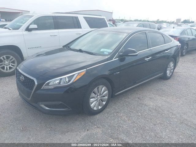 Photo 1 VIN: KMHE24L19GA039391 - HYUNDAI SONATA HYBRID 