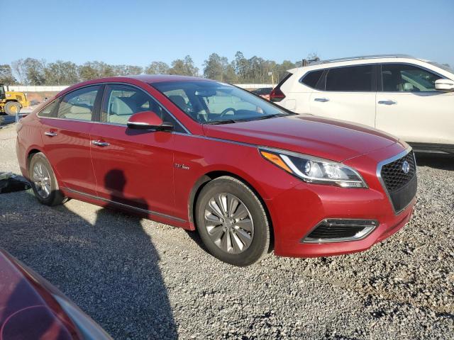 Photo 3 VIN: KMHE24L1XGA028822 - HYUNDAI SONATA HYB 