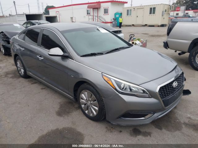 Photo 0 VIN: KMHE24L31HA062313 - HYUNDAI SONATA 