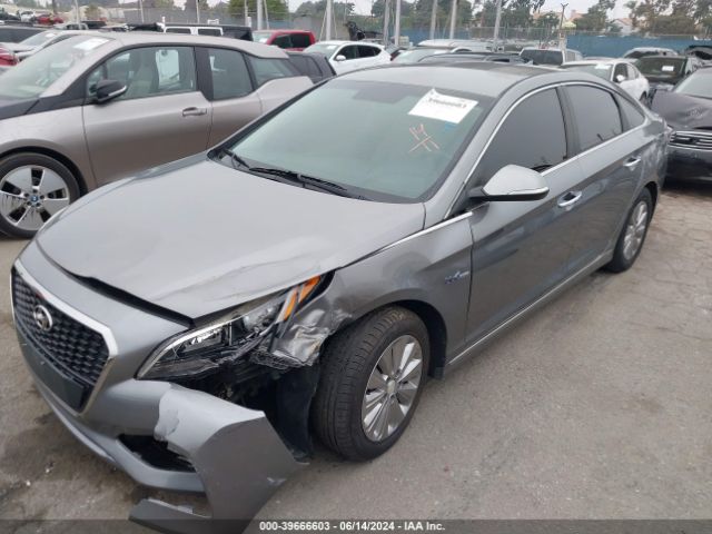 Photo 1 VIN: KMHE24L31HA062313 - HYUNDAI SONATA 