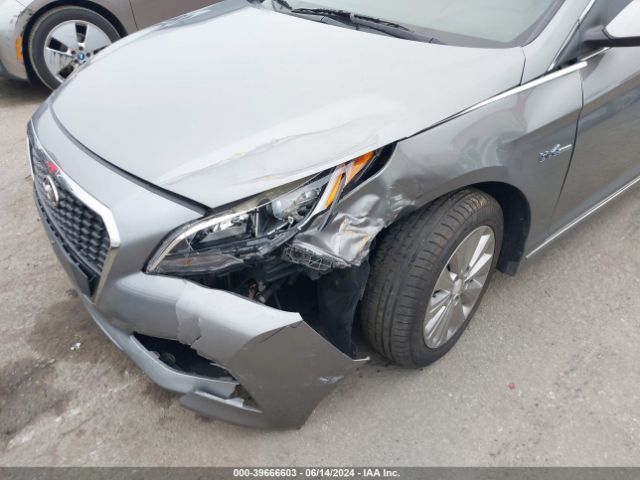 Photo 5 VIN: KMHE24L31HA062313 - HYUNDAI SONATA 