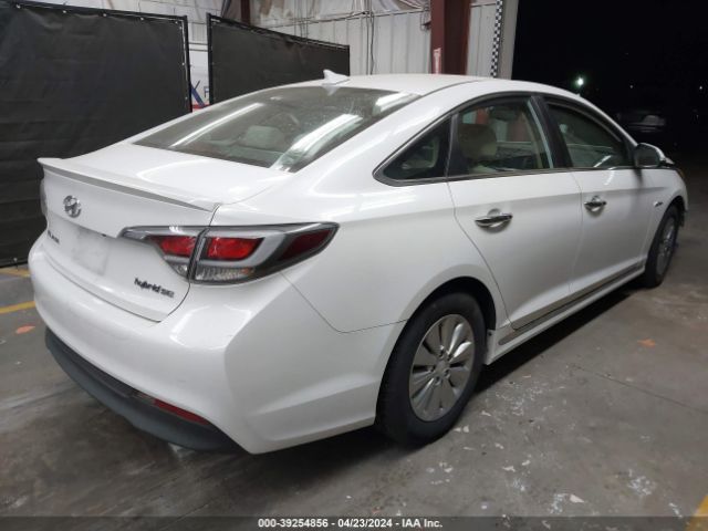 Photo 3 VIN: KMHE24L31HA066670 - HYUNDAI SONATA 