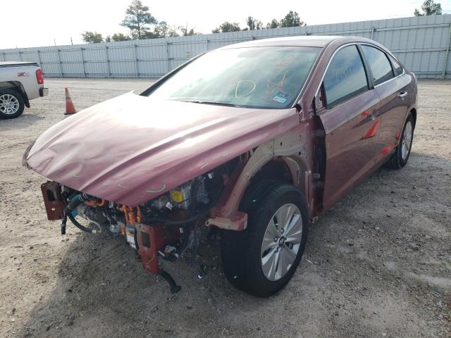 Photo 1 VIN: KMHE24L32JA085766 - HYUNDAI SONATA HYB 