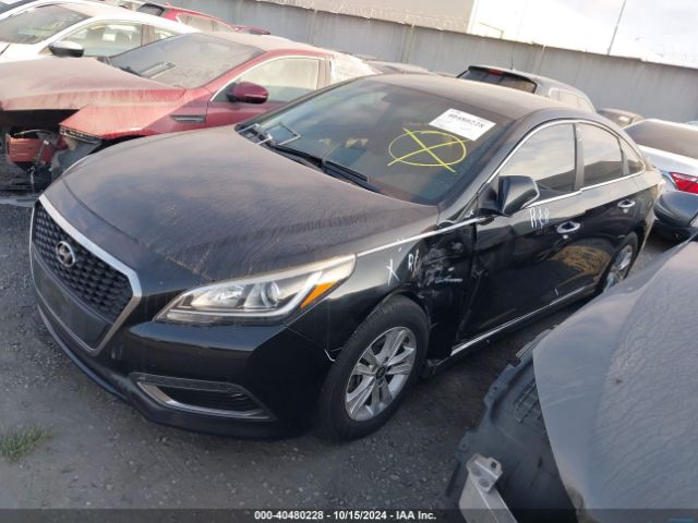 Photo 1 VIN: KMHE24L34HA061186 - HYUNDAI SONATA 