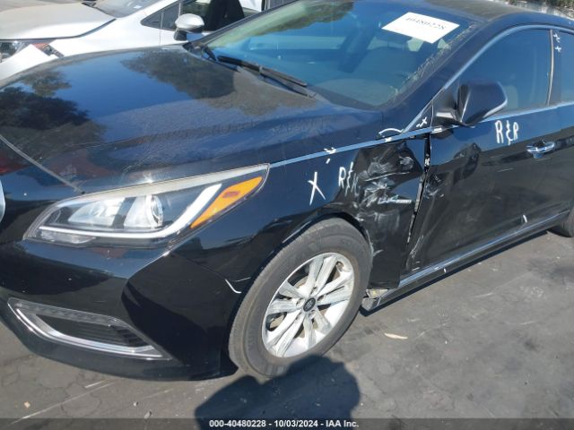 Photo 5 VIN: KMHE24L34HA061186 - HYUNDAI SONATA 