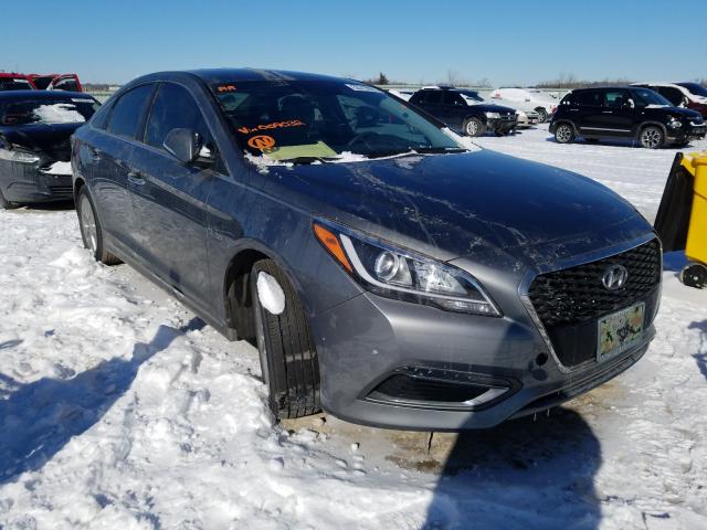 Photo 0 VIN: KMHE24L36HA069032 - HYUNDAI SONATA HYB 