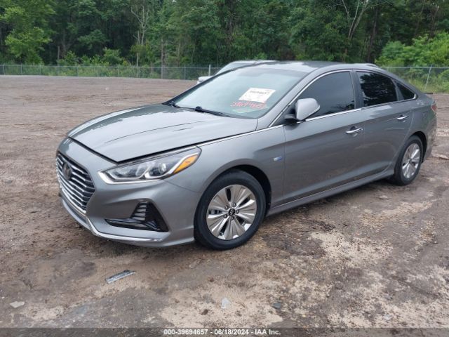 Photo 1 VIN: KMHE24L36JA082336 - HYUNDAI SONATA 